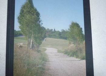 DROGA DO KORONY - STANISŁAW JANKE