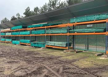 Deska szalunkowa impregnowana 800 zł m3