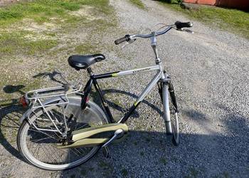 gazelle rower męski koła 28