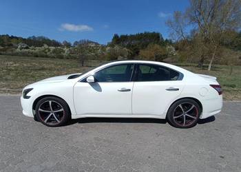 Nissan Maxima A35 - wygodna limuzyna - biała perła/czarny dach