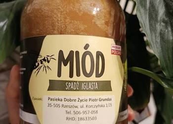 Miód spadziowy jodłowy z Podkarpacia 65 zł - 1 kg
