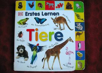 Poznajemy zwierzęta - Erstes Lernen - Tiere - książka niemiecka