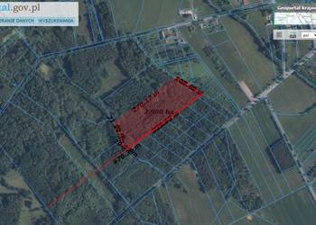 Działka 2,9ha, miejscowość Choiny, gmina Parysów, pow. garwo