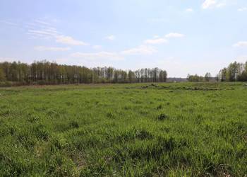 Trzy duże działki na sprzedaż w Skomętnie Wielkim