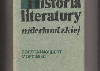Historia literatury niderlandzkiej Zarys