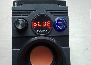 Głośnik bluetooth + radio