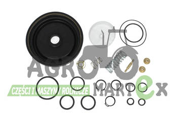 F250882020130, 250882020130 ZESTAW NAPRAWCZY AGCO