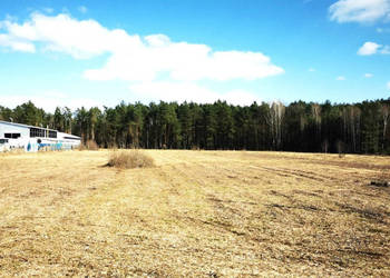 Grunt 1824m2 Głusko Duże-Kolonia