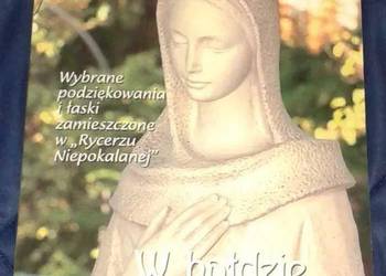 W hołdzie Niepokalanej. Wybrane podziękowania i łaski