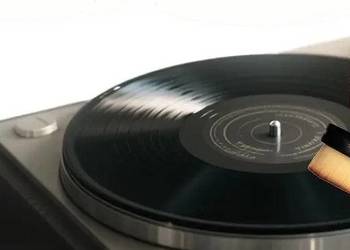 pędzel antystatyczny do płyt winylowych