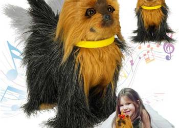 Piesek interaktywny reaguje na dotyk ruch chodzi szczeka York