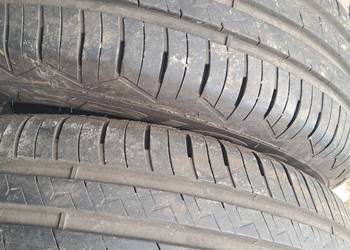Opony Letnie Dębica  195/65r15 2szt