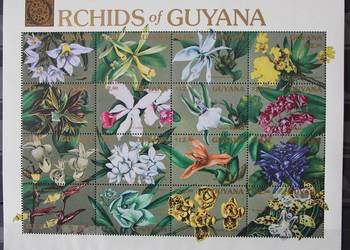 Gujana ( flora 1990r)