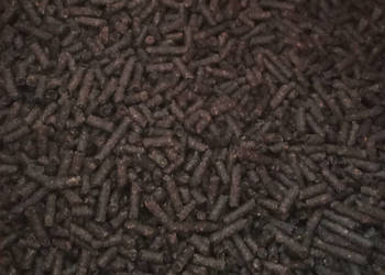 Wysłodki melasowane Tofi Glinojeck luz ilości całosamochodowe