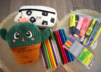 Kaktus Kazik z Gangu Zaradniaków , piórnik w stylu kawaii., dużo mazaków
