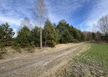 Działka o pow. 1,63 ha w Karolowie gm. Chotcza.