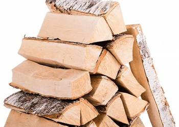 Różne rodzaje drewna Niegowa i okolice