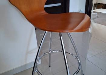 Hoker barowy ciekawy