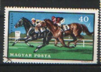 Zn. Temat - konie  kas. Zn. Temat - konie  kas.