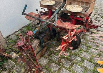 Sadzarka do ziemniaków podkiełkowanych