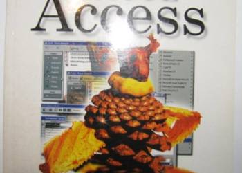 2000 PL ACCESS - RAY DEBORAH ERIC