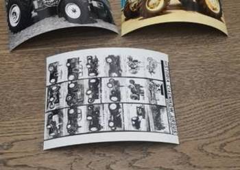 Naklejka niedźwiedź Ursus oryginał