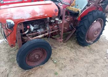 Ciągnik Massey Ferguson 35