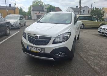 Bezwypadkowy,gaz, wersja Cosmo prywatne salon polska