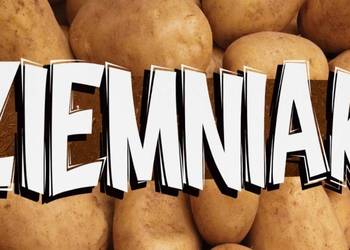 Ziemniaki QUEEN ANNE / GALA Kartofle / Marchew Ziemniaki QUEEN ANNE / GALA Kartofle / Marchew