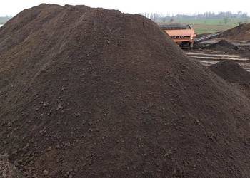 Czarnoziem, ziemia ogrodowa, humus transport
