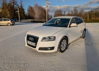 Audi A3 8P Lift 1.9TDI