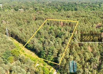 Działka Józefów 5665m2