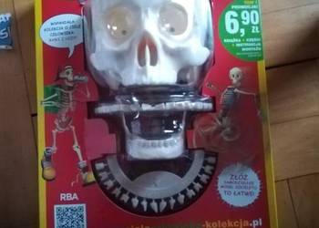 National Geographic - Ciało człowieka numer 1. NOWY