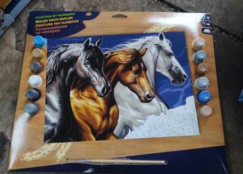 Sequin Art, Malowanie po numerach Dzikie konie