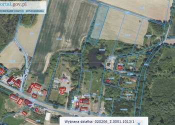 Działka zagrodowa 30ar Janczowice gm. Łagiewniki