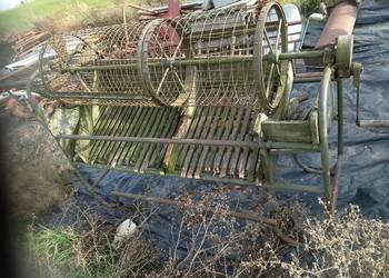 Sortownik do ziemniaków