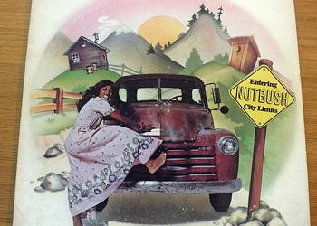 Płyta winylowa IKE & TINA TURNER – NUTBUSH CITY LIMITS