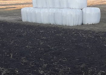 Sianokiszonka sprzedam