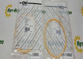 247881A1 O-ring CNH