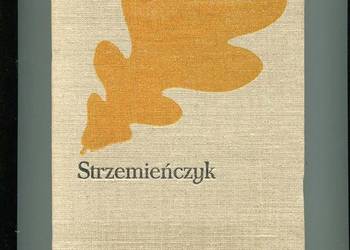 Strzemieńczyk - Kraszewski