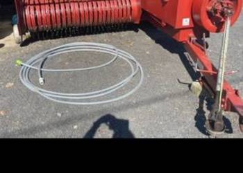 Witam, Sprzedam prase simpa z- 224/1