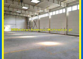 Nowoczesny magazyn 950 m2 do wynajęcia plac parking biura socjal.