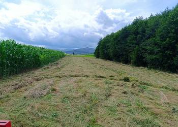 Koszenie trawy, wycinka drzew