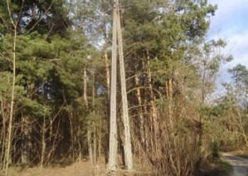 Działka Leśna w Radomiu -inwestycyjna 7307m2