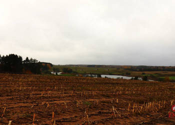 Działka 12000m2 Żegary