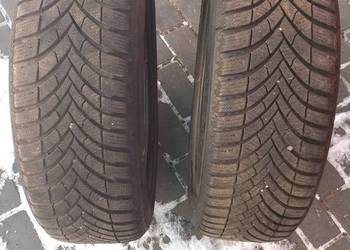 Opony 2 szt 205/55/17 Semperit Speed grip 5 2023 całoroczne