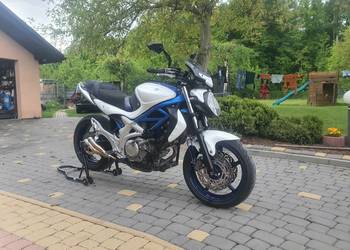 Suzuki SFV 650 GLADIUS