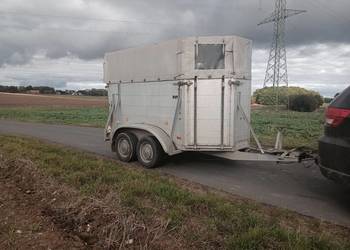 Przyczepa aluminiowa do przewozu zwierząt bydła koni