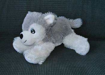 Maskotka piesek husky jak nowy