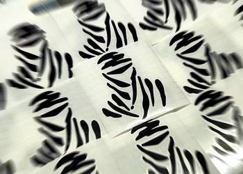 Sticker Beduin Black 9x7